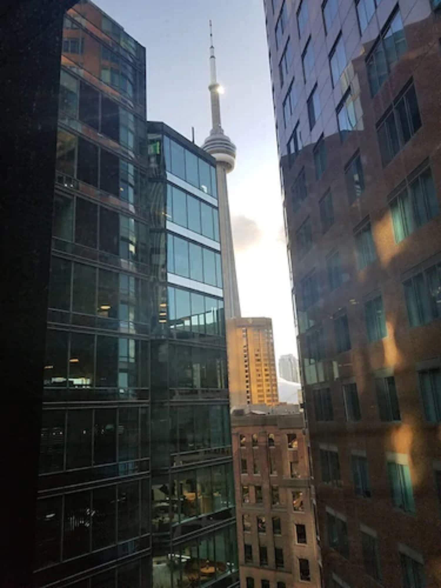 The Strathcona Hotel Торонто Экстерьер фото